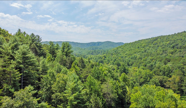 Wooded 1.7 Acres lot with privacy and views. Minutes in to Coker Creek