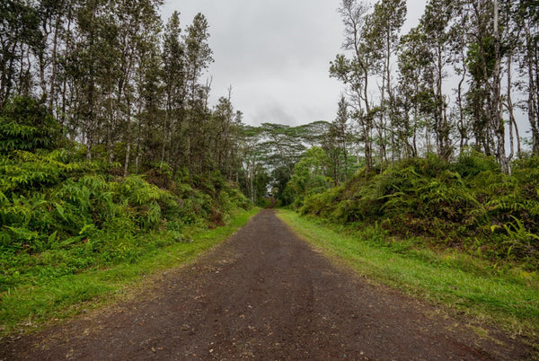 .21 acre lot Near Lava Tree State Monument, proximity to Pahoa Town and Kehena Beach on the Big Island