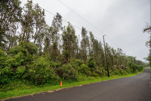 .21 acre lot Near Lava Tree State Monument, proximity to Pahoa Town and Kehena Beach on the Big Island