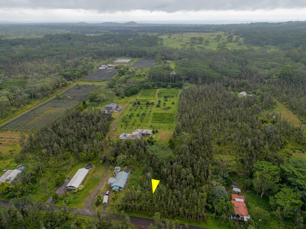 .21 acre lot Near Lava Tree State Monument, proximity to Pahoa Town and Kehena Beach on the Big Island