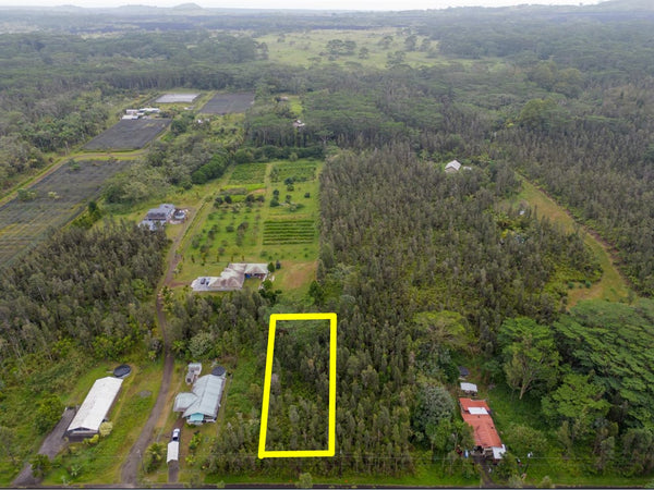 .21 acre lot Near Lava Tree State Monument, proximity to Pahoa Town and Kehena Beach on the Big Island